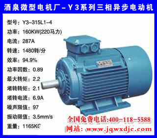 160KW �ļ� Y3ϵ�������첽�綯�� Y3-315L1-4